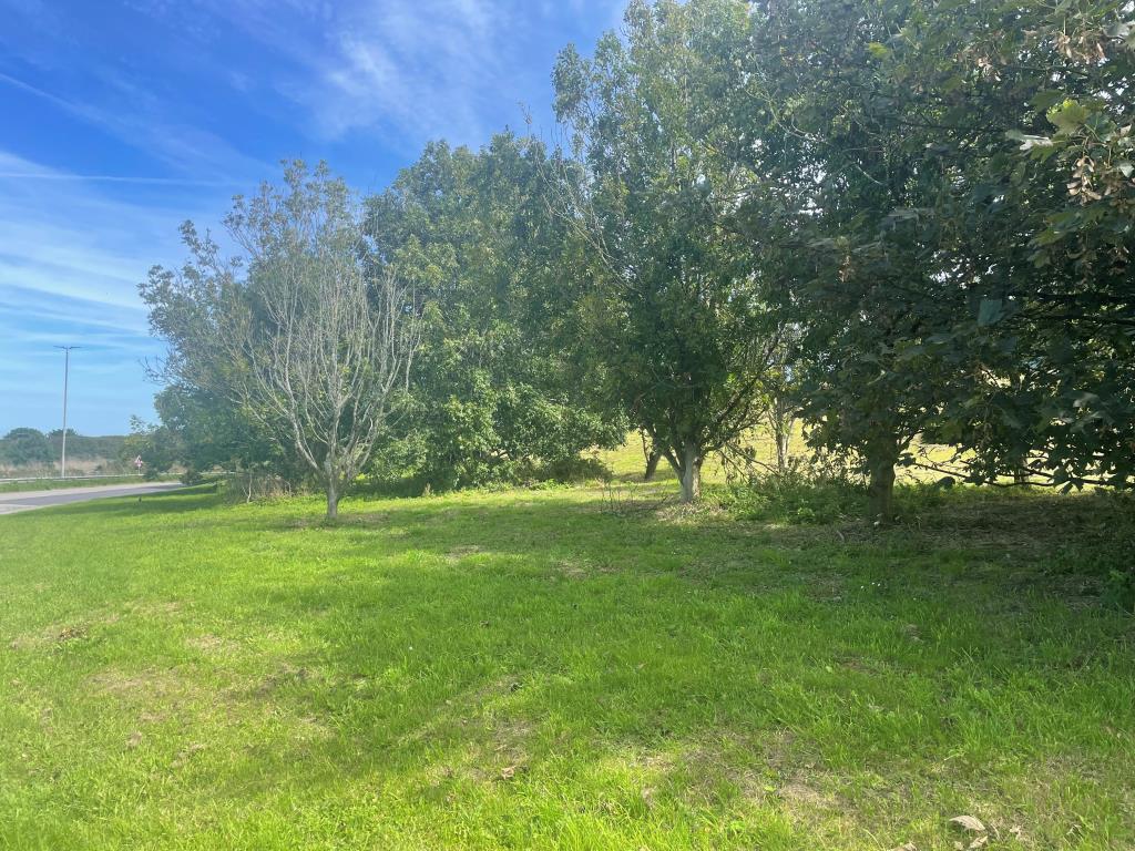 Lot: 59 - FREEHOLD LAND - Land